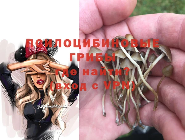 a pvp Алексеевка