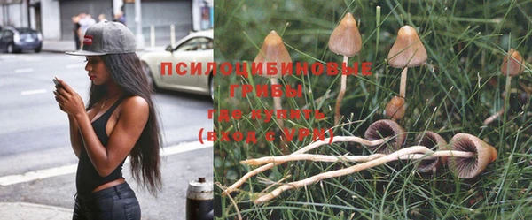марки lsd Алексин