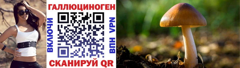 Псилоцибиновые грибы прущие грибы  как найти закладки  Суджа 
