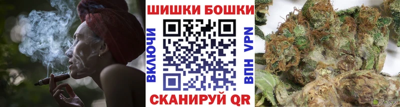 Канабис сатива  Суджа 